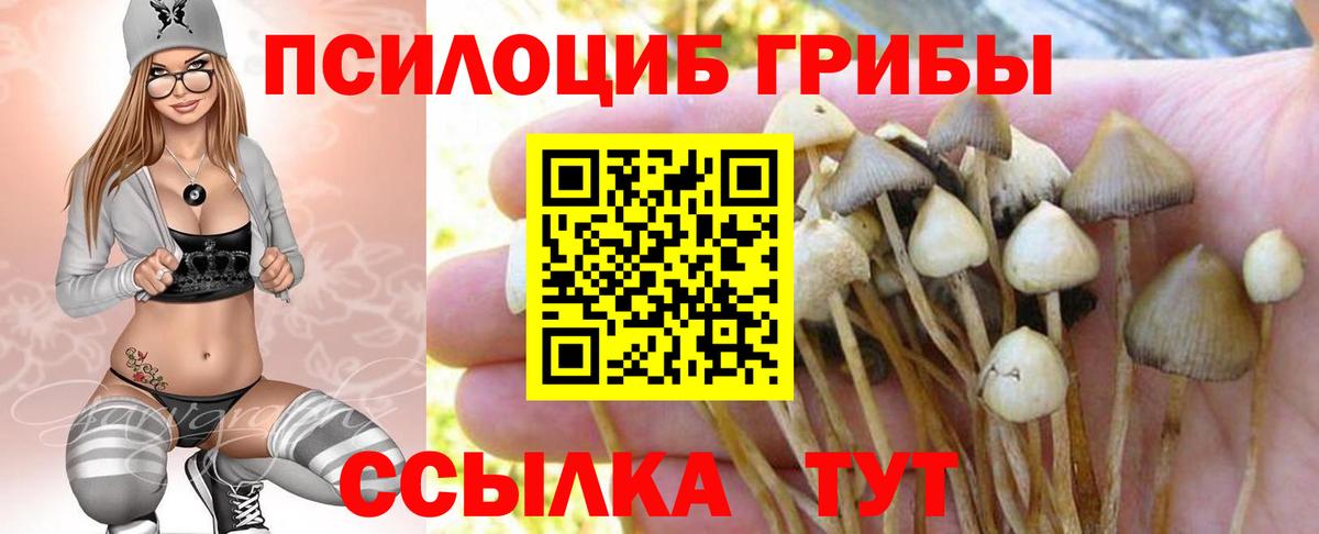 Галлюциногенные грибы ЛСД Долгопрудный